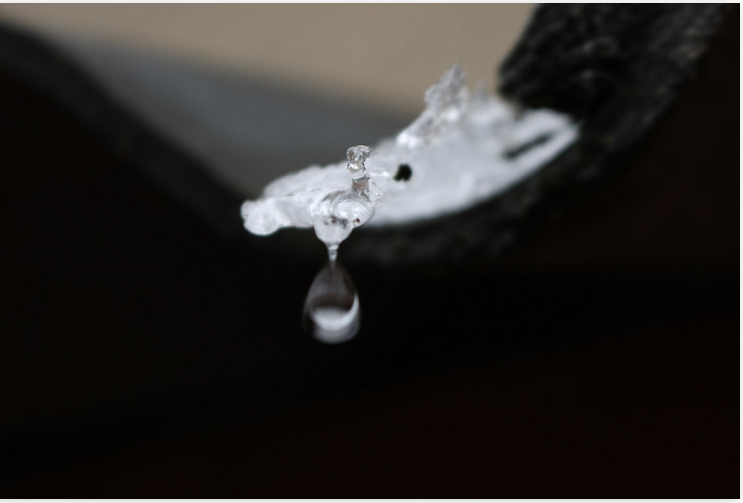 Beauphotographics